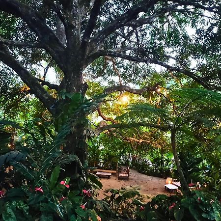 Canjahawon Nipa Hut Homestay Siquijor Exterior foto